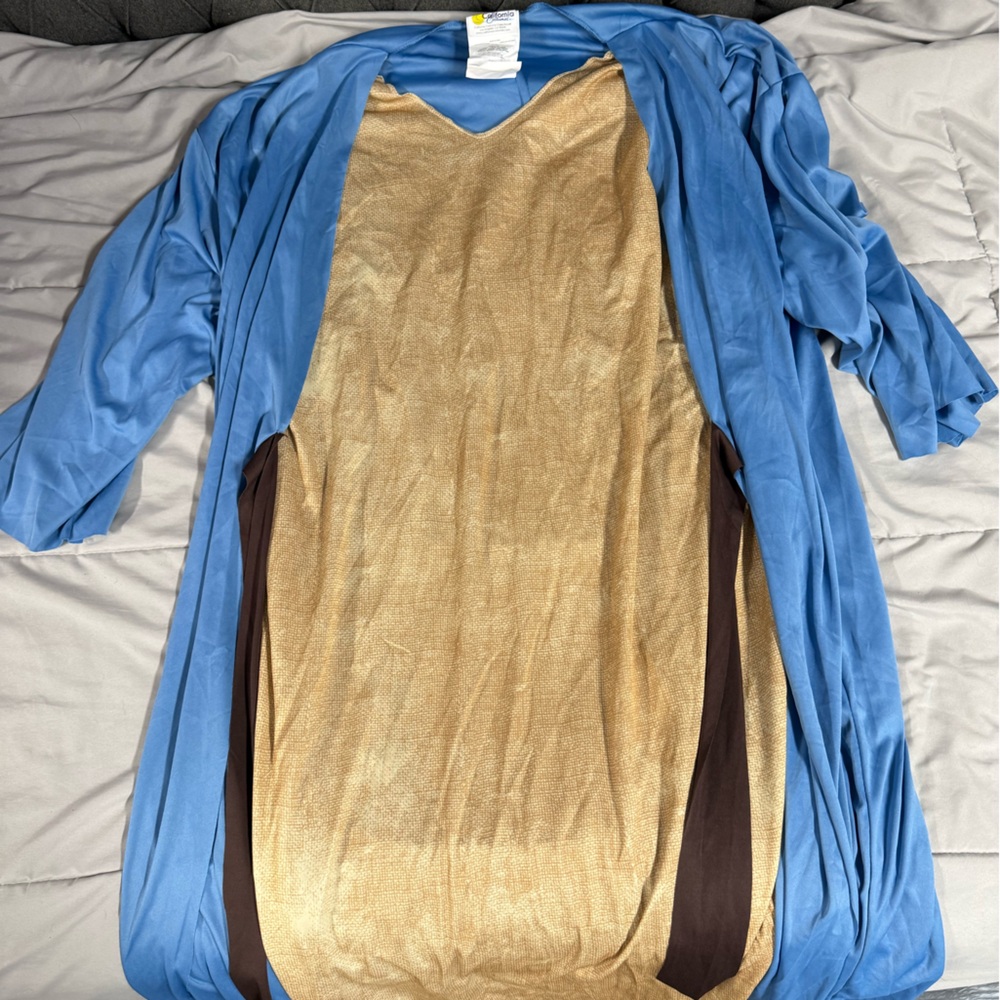 Blue and Gold Long Sleeve Dress